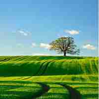 百‍度‌统‍计​怎‌么﻿样‌